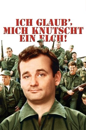 Ich glaub' mich knutscht ein Elch! (1981)