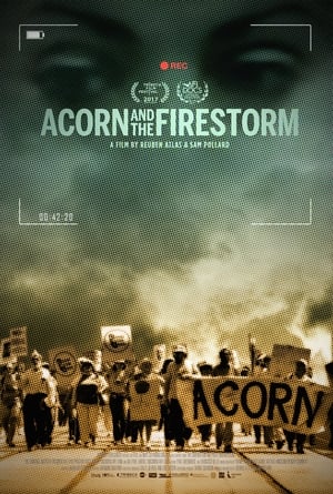 Poster Acorn and the Firestorm (2017)