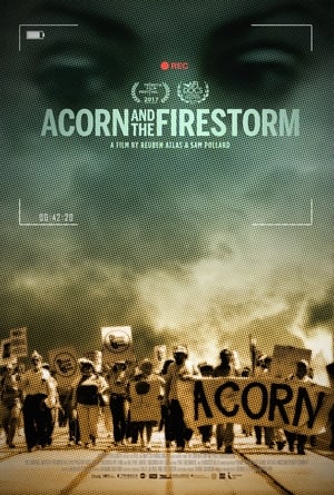 Poster Acorn and the Firestorm 2017
