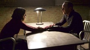 Agents of S.H.I.E.L.D. 3 episodio 9