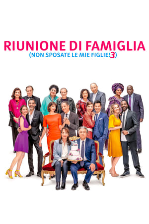 Image Riunione di famiglia - Non sposate le mie figlie 3