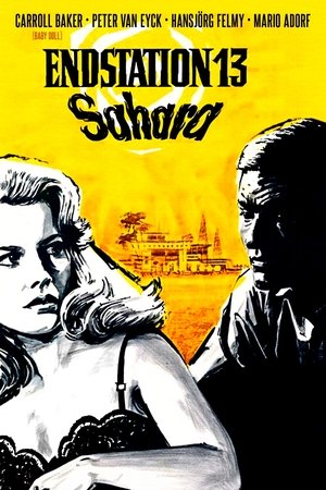 Image Endstation 13 Sahara