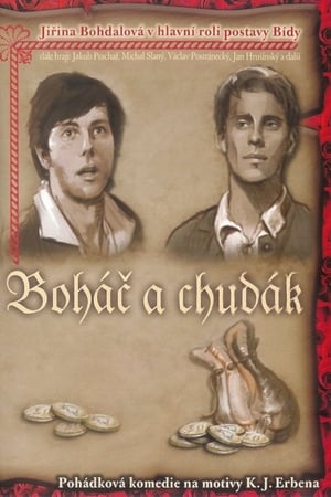 Poster Boháč a chudák 2005