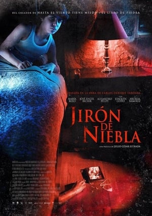 Poster Jirón de niebla 2014