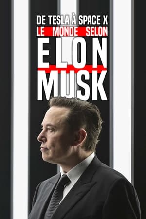 Poster De Tesla à SpaceX, le monde selon Elon Musk 2022