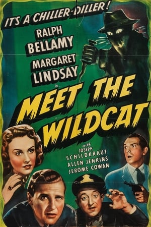 Meet the Wildcat film complet