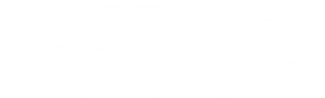 Tokyo Override — Logos 2