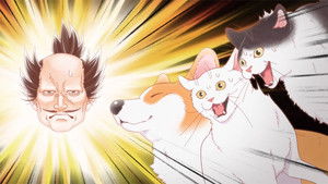 The Corgi and the Samurai: 1×21