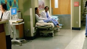 Grey’s Anatomy 11 x Episodio 19