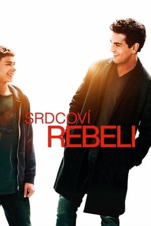 Poster Srdcoví rebeli 2017