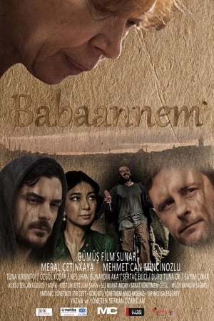 Poster Babaannem (2016)