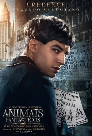 <Images posters