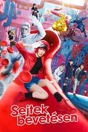 Image Sejtek bevetésen