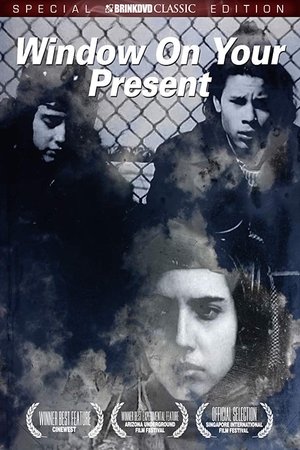 Window on Your Present poster