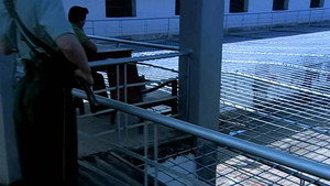 Odcinek 14 — odcinek 14