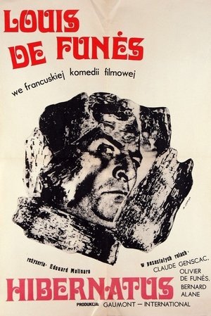Image Hibernatus