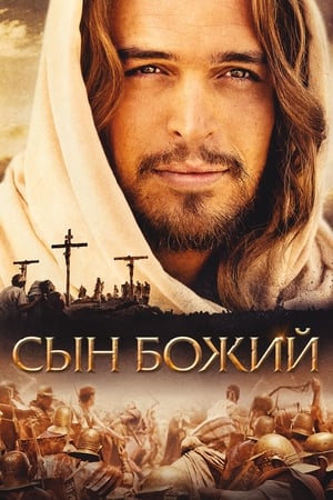 Poster Сын Божий 2014