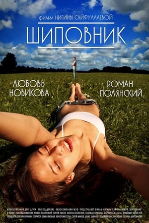 Poster Шиповник 2011