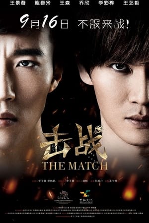 Poster The Match 2016