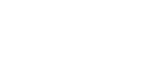가우스전자 — Logos 4