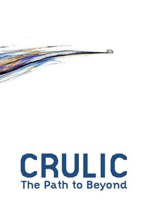 Poster Crulic: The Path to Beyond (2011)