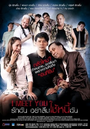 Poster I Meet You (2012)