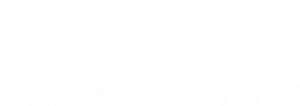 Roman Frayssinet : Ô delà