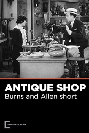 The Antique Shop poster