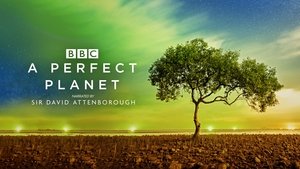 poster A Perfect Planet