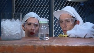 Cochon dingue: 4×10