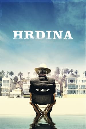 Poster Hrdina 2017
