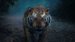 Kantara A Legend Chapter 1 (2025)