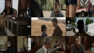 The Dog Lover (2016)