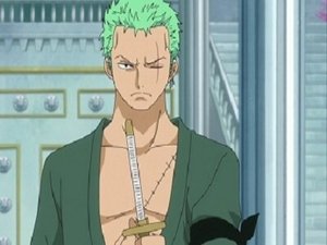 One Piece: Season 14 Episode 536