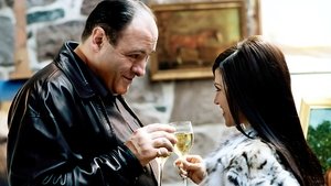 Die Sopranos: 4×8