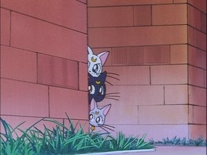 Sailor Moon Season 4 Episode 19