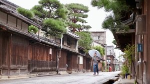 Journeys in Japan: 11×20