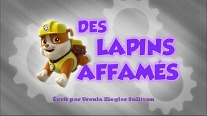 Des Lapins affamés