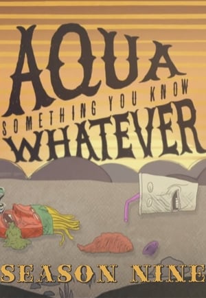 Aqua Teen Hunger Force: Aqua Something You Know Whatever