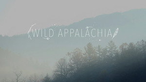 Wild Appalachia (2013)