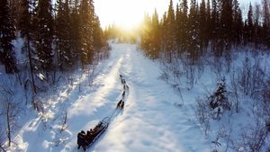 Dead End Express Alaskan Madness