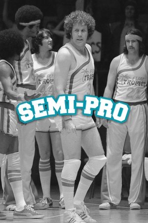 Image Semi-Pro