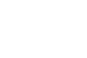 Cao Xuanxuan's Love Journey