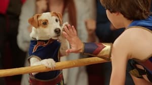 Russell, el perro luchador (2015)