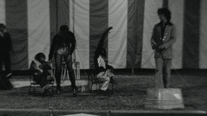 Circus