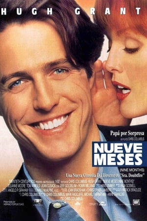 Poster Nueve meses 1995