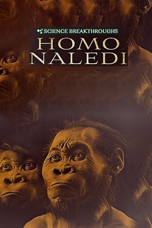 Poster Science Breakthroughs: Homo Naledi 2017