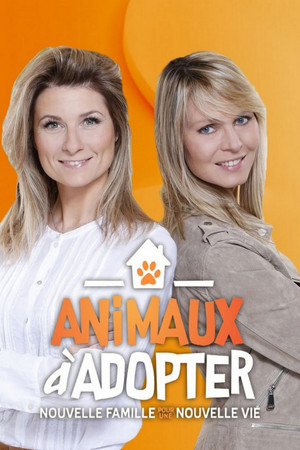 Animaux à adopter : Nouvelle famille pour une nouvelle vie