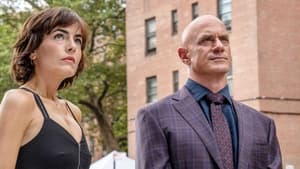 Law & Order: Organized Crime: 3×4