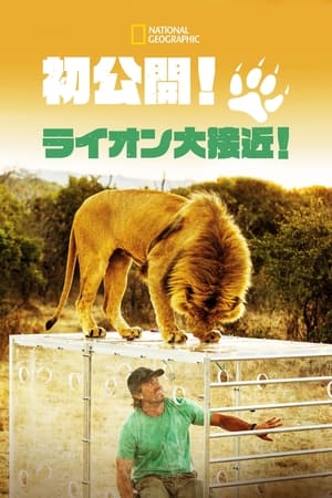 Image Man V. Lion